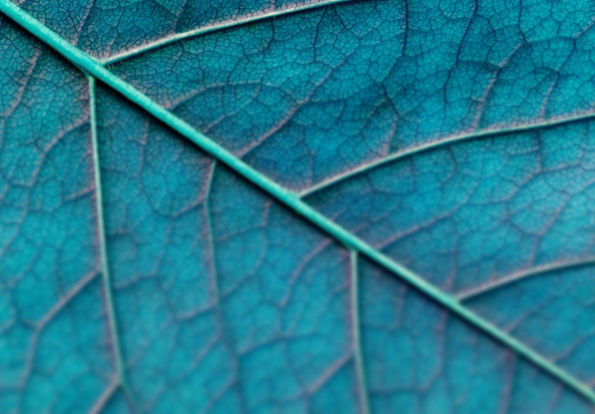 discover image 1