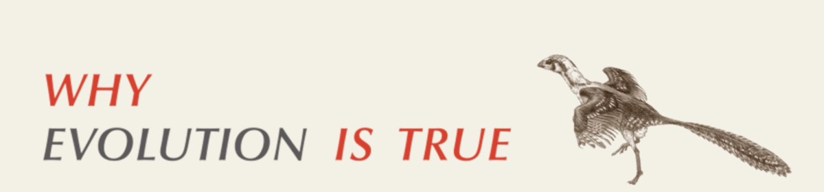 Kathleen Stock leaves her lane, says that creationist arguments “undermine her faith in science”