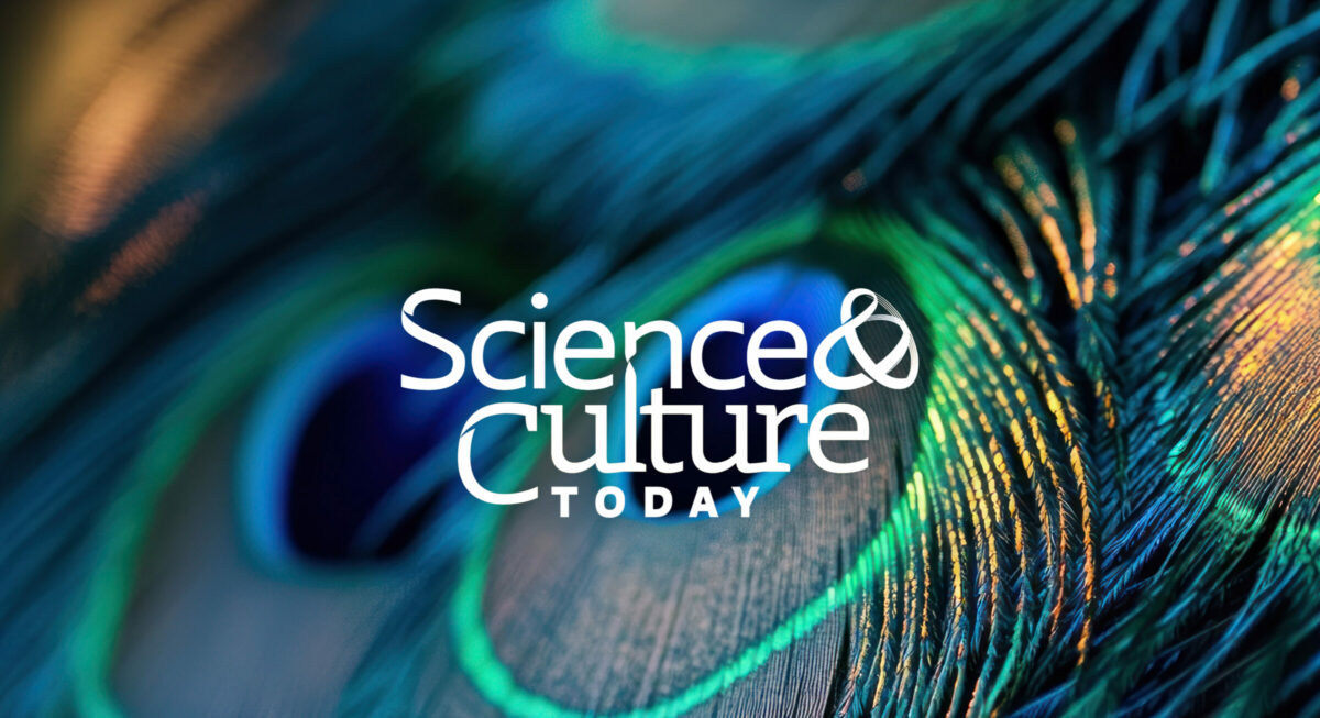 What Can Science Tell Us About the Existence of God?